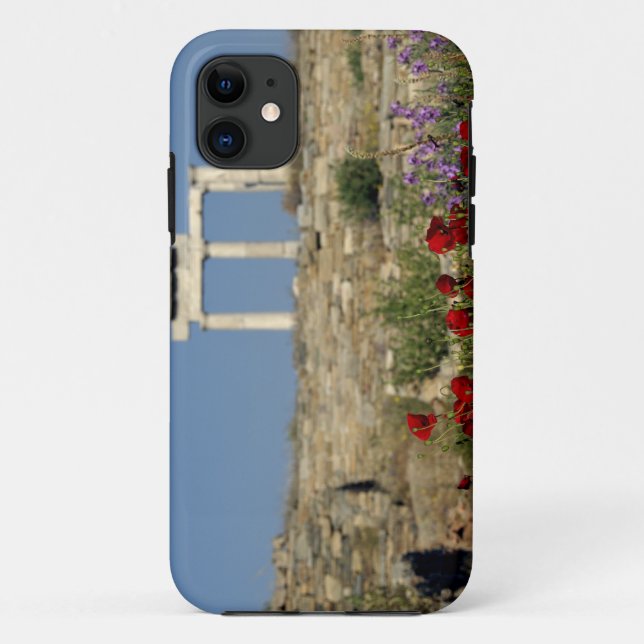 Europe, Greece, Cyclades, Delos. Column ruins. Case-Mate iPhone Case (Back)