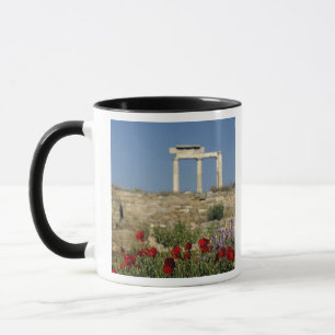 Europe, Greece, Cyclades, Delos. Column ruins. Mug