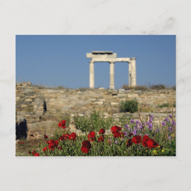 Europe, Greece, Cyclades, Delos. Column ruins. Postcard (Front)