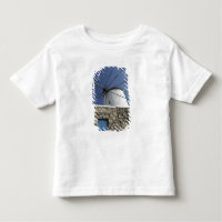 Europe, Greece, Mykonos. 2