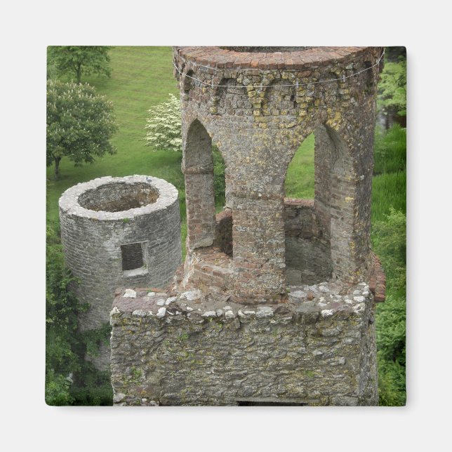 Europe, Ireland, Blarney Castle. THIS IMAGE Magnet (Front)