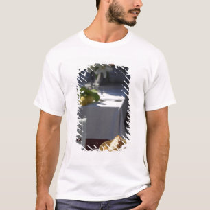 Europe, Italy, Liguria region, Cinque Terre, T-Shirt