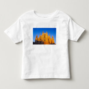 Europe, Italy, Milan, Cathedral of Milan Toddler T-Shirt