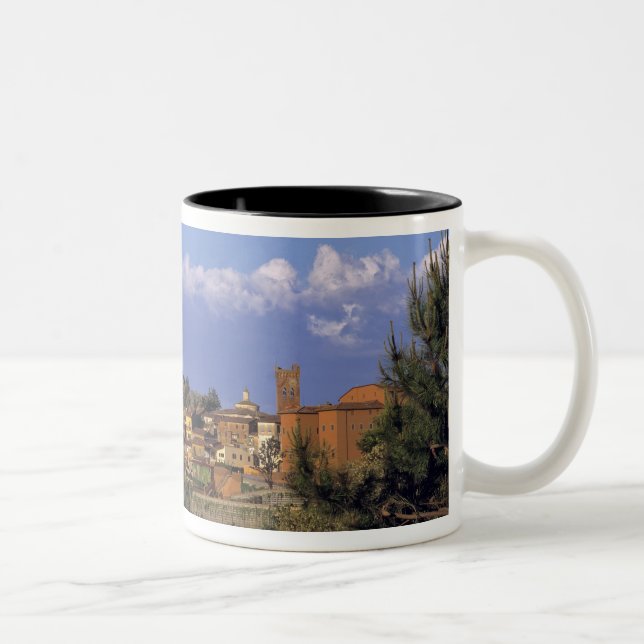 Europe, Italy, San Miniato. Beneath a wide, Two-Tone Coffee Mug (Right)