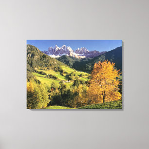 Europe, Italy, Santa Magdalena. The tiny Canvas Print