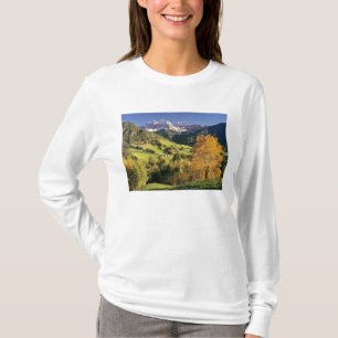 Europe, Italy, Santa Magdalena. The tiny T-Shirt