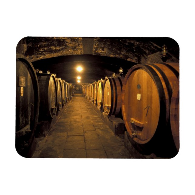 Europe, Italy, Toscana region. Chianti cellars Magnet (Horizontal)