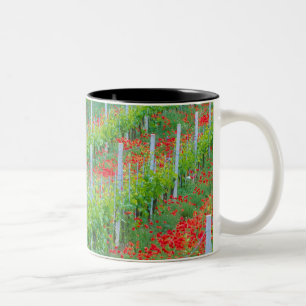 Europe, Italy, Tuscany. Colourful red poppies in Two-Tone Coffee Mug