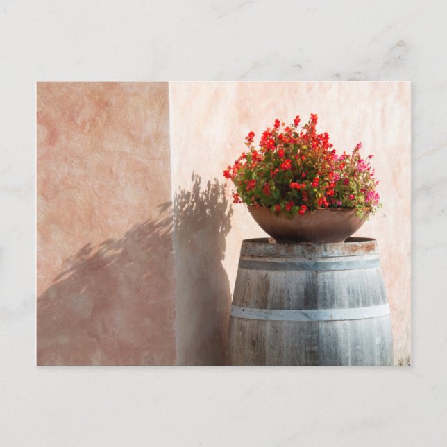 Europe, Italy, Tuscany. Flower pot Postcard (Front)