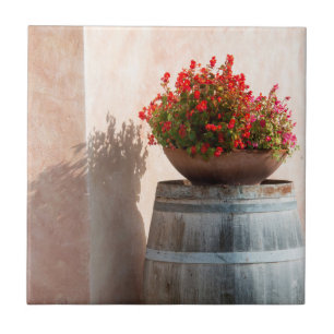 Europe, Italy, Tuscany. Flower pot Tile