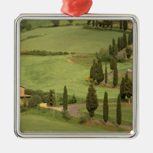 Europe, Italy, Tuscany, Monticchiello. Curvy Metal Tree Decoration