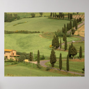 Europe, Italy, Tuscany, Monticchiello. Curvy Poster