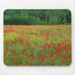 Europe, Italy, Tuscany, red poppies in field. Mouse Mat