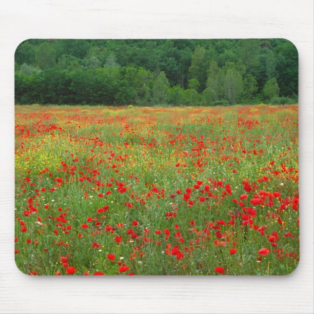 Europe, Italy, Tuscany, red poppies in field. Mouse Mat (Front)