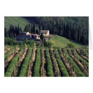 Europe, Italy, Tuscany. Scenic villa cyprus.