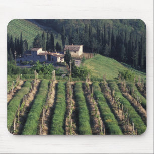 Europe, Italy, Tuscany. Scenic villa cyprus. Mouse Mat