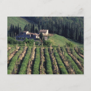 Europe, Italy, Tuscany. Scenic villa cyprus. Postcard