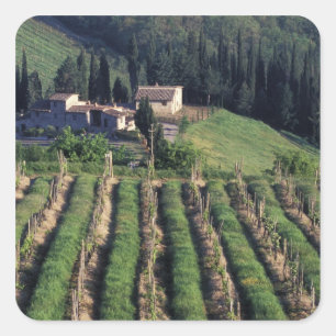 Europe, Italy, Tuscany. Scenic villa cyprus. Square Sticker