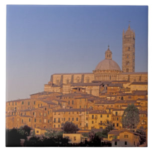 Europe, Italy, Tuscany, Siena. 13th century 3 Tile