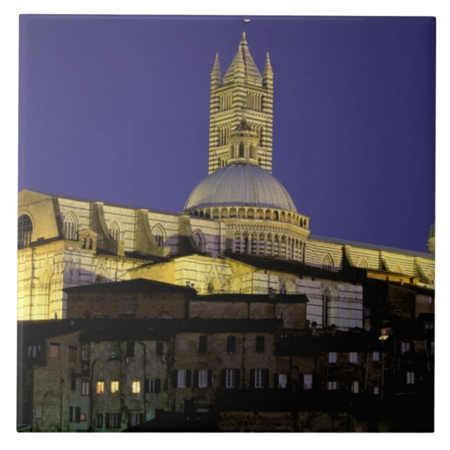 Europe, Italy, Tuscany, Siena. 13th century Tile (Front)