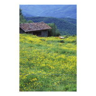 Europe, Italy, Tuscany, Siena, Chianti. Photo Print
