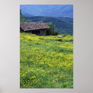 Europe, Italy, Tuscany, Siena, Chianti. Poster