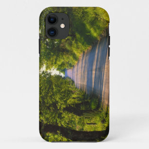 Europe, Italy, Tuscany, tree lined road iPhone 11 Case