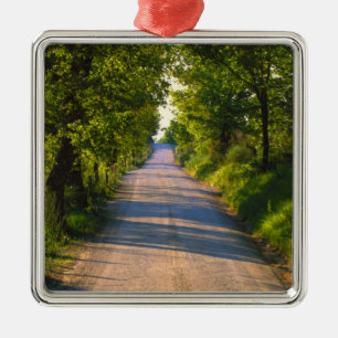 Europe, Italy, Tuscany, tree lined road Metal Tree Decoration