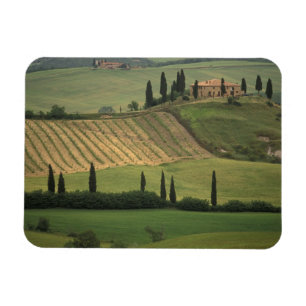 Europe, Italy, Tuscany, Val d' Orcia, Tuscan Magnet