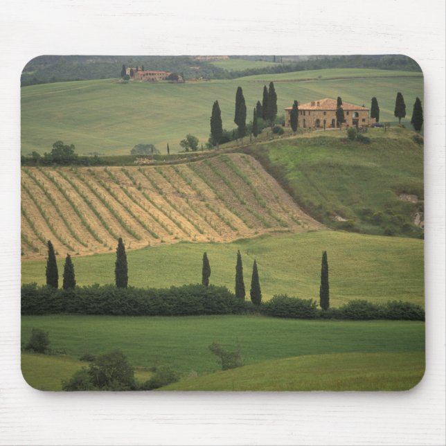 Europe, Italy, Tuscany, Val d' Orcia, Tuscan Mouse Mat (Front)