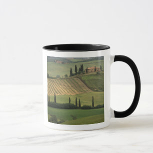 Europe, Italy, Tuscany, Val d' Orcia, Tuscan Mug