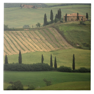 Europe, Italy, Tuscany, Val d' Orcia, Tuscan Tile