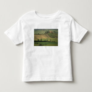 Europe, Italy, Tuscany, Val d' Orcia, Tuscan Toddler T-Shirt