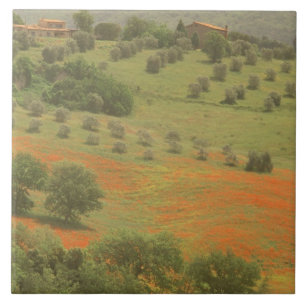 Europe, Italy, Tuscany, Val D'Orcia, Monte Tile