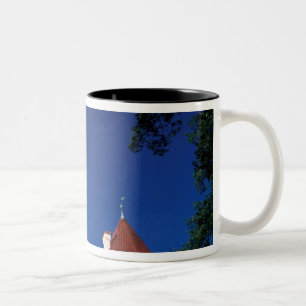 Europe, Konopiste Castle, Czech Republic, statue Two-Tone Coffee Mug
