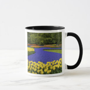 Europe, Netherlands, Holland, Lisse, Keukenhof Mug