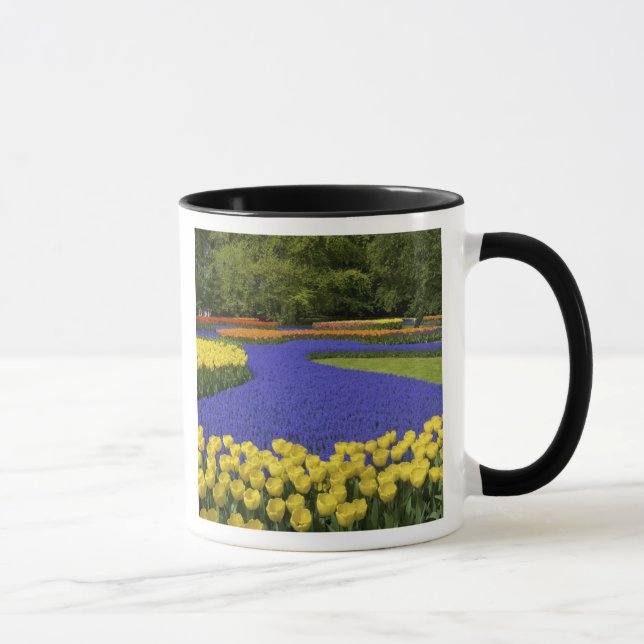Europe, Netherlands, Holland, Lisse, Keukenhof Mug (Right)