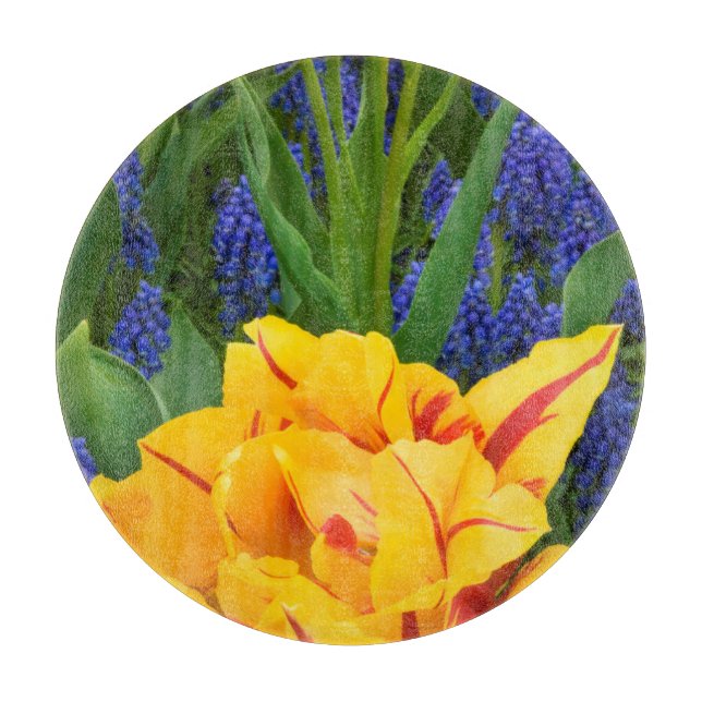 Europe, Netherlands, Lisse. Tulips Cutting Board (Front)