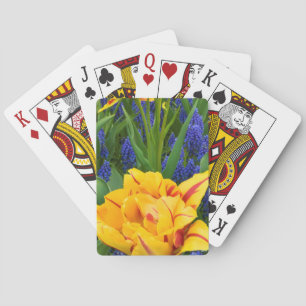 Europe, Netherlands, Lisse. Tulips Playing Cards