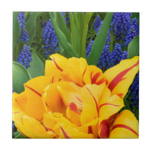 Europe, Netherlands, Lisse. Tulips Tile