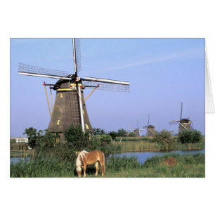 Europe, Netherlands, Zuid Holland, Kinderdijk. 2