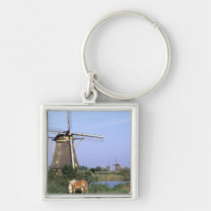 Europe, Netherlands, Zuid Holland, Kinderdijk. 2 Key Ring