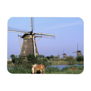 Europe, Netherlands, Zuid Holland, Kinderdijk. 2 Magnet