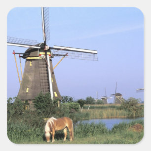 Europe, Netherlands, Zuid Holland, Kinderdijk. 2 Square Sticker
