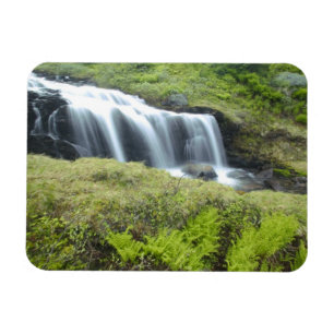 Europe, Norway. Waterfall. Magnet