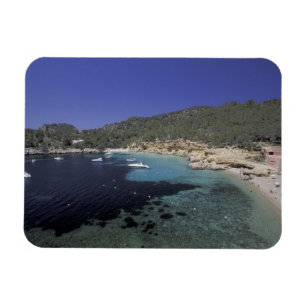 Europe, Spain, Balearics, Ibiza, Cala Salada. Magnet