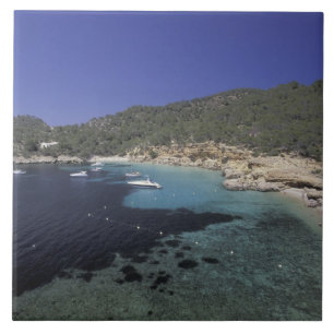 Europe, Spain, Balearics, Ibiza, Cala Salada. Tile