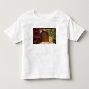 Europe, Spain, Balearics, Mallorca, Palma de Toddler T-Shirt