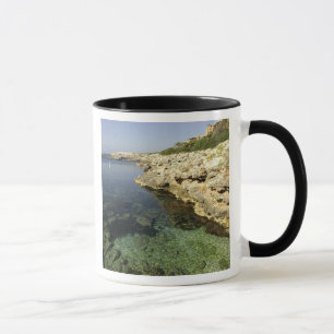 Europe, Spain, Minorca (aka Menorca), Binibeca. Mug