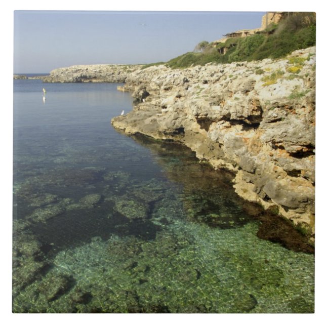 Europe, Spain, Minorca (aka Menorca), Binibeca. Tile (Front)